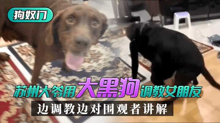 欧美午夜激情性影院,国产成人AV无卡在线观看
